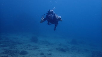 Adventurer